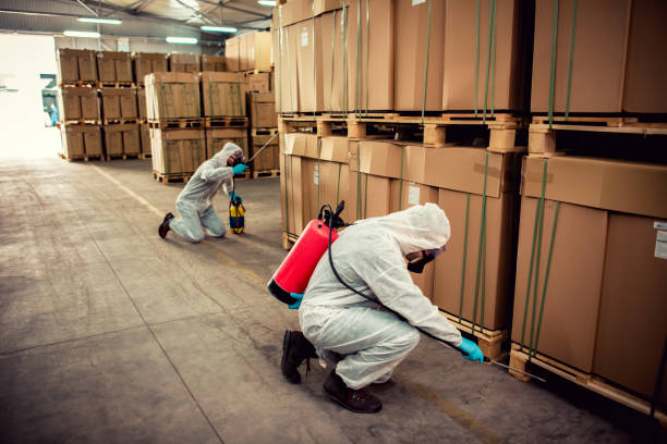 Best Ant Control Services  in Seagraves, TX