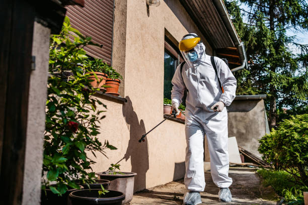 Best Pest Prevention Services  in Seagraves, TX