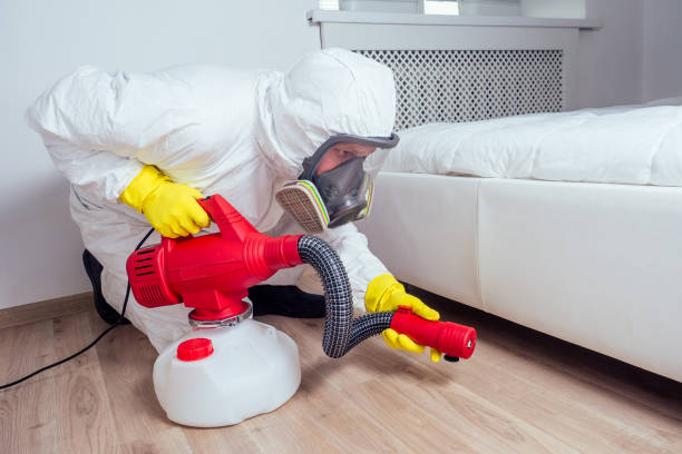 Best Local Pest Control Services  in Seagraves, TX