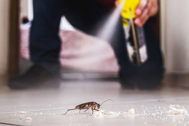 Best Residential Pest Control  in Seagraves, TX