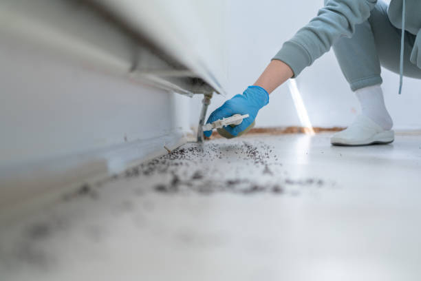 Pest Control Cost in Seagraves, TX